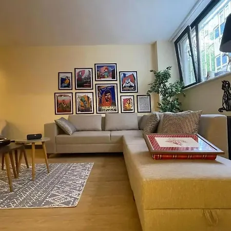Local Artist's, Well Designed Spacious Garden Floor Apartment Istanbul