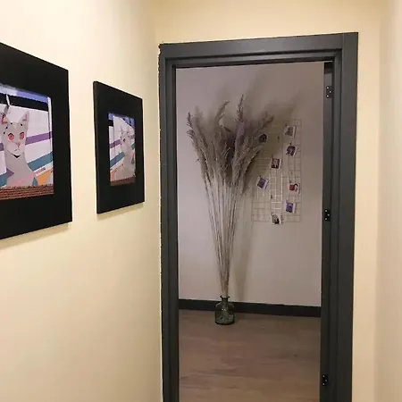 Apartment Local Artist's, Well Designed Spacious Garden Floor